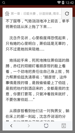 爱游戏平台合作意甲